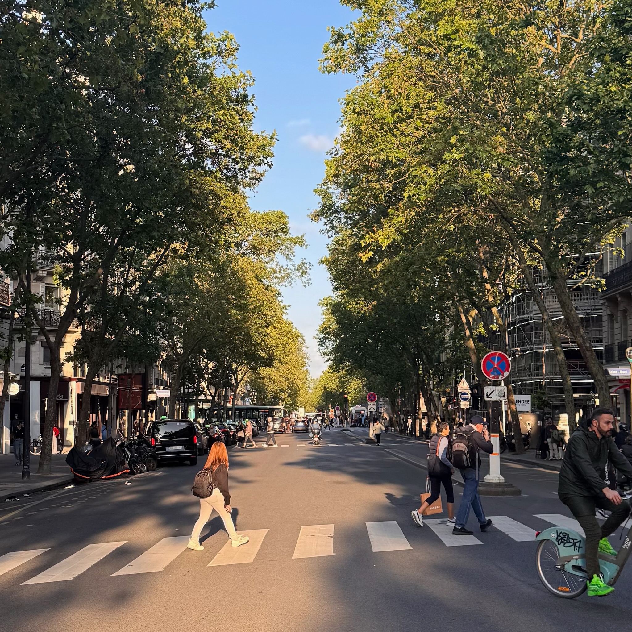 A Paris boulevard at golden hour, pedestrians crossing at a zebra crossing beneath tall trees