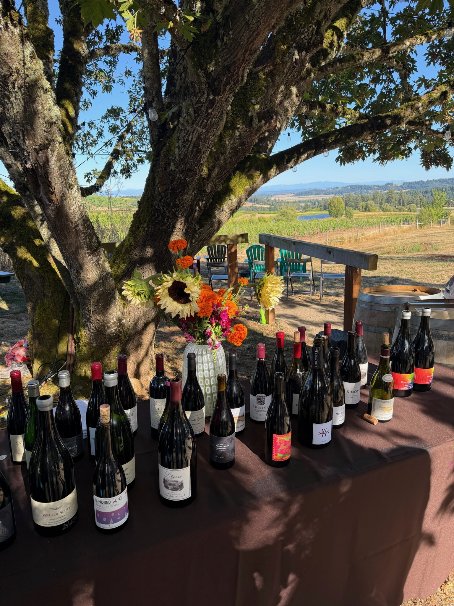 Bottles of wine lined up on a table beneath an old oak, with a vase of sunflowers and marigolds, and vineyards rolling toward distant hills